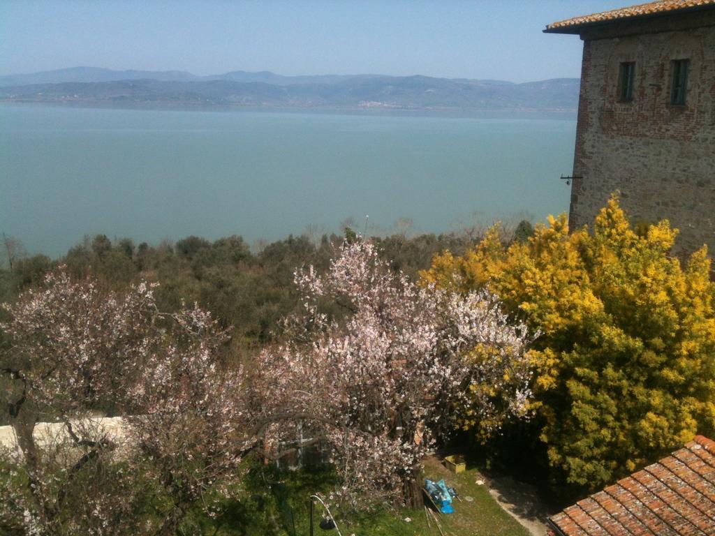 Ascanio Appartamenti Castiglione del Lago Luaran gambar